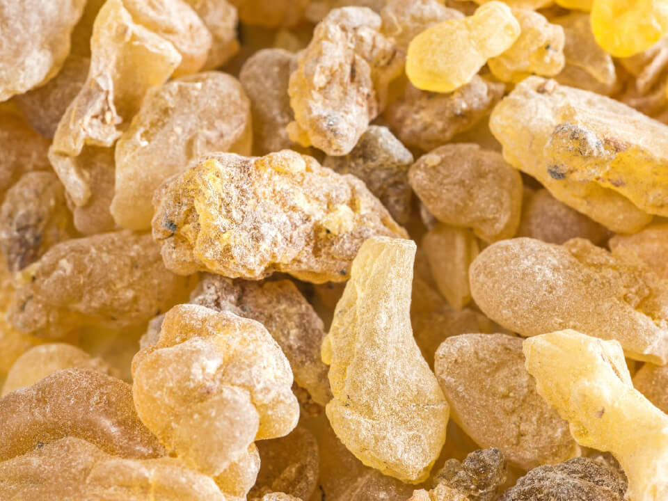 Ekstrakt smole indijskega kadila (Boswellia serrata) 